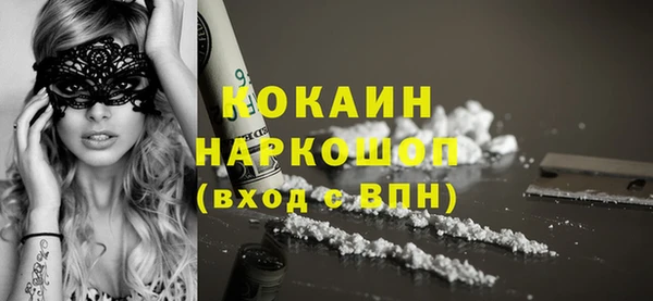 индика Волосово