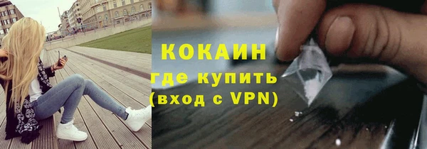 индика Волосово
