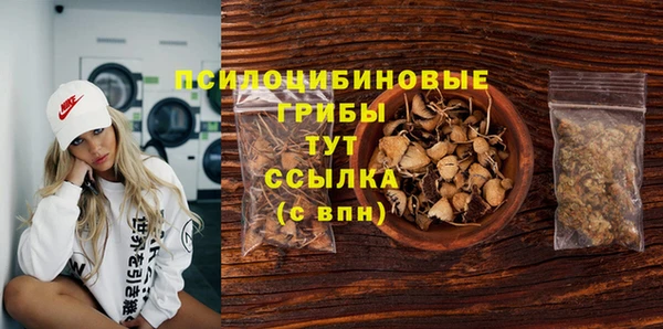 индика Волосово