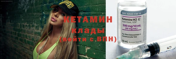 индика Волосово