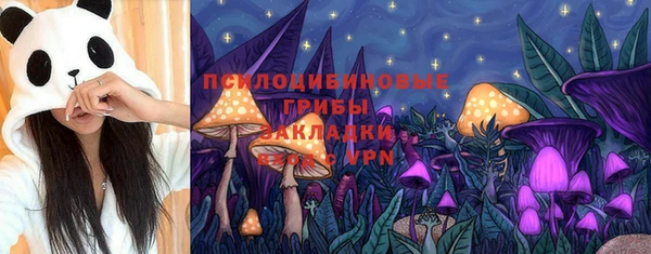 индика Волосово