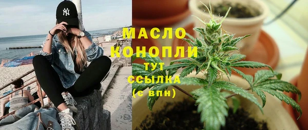 индика Волосово