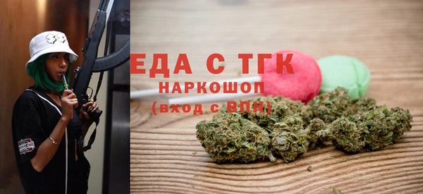 индика Волосово