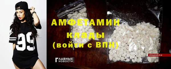 индика Волосово